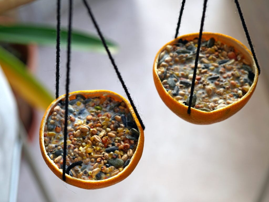 Vegan vetbollen sinaasappelschil vogelvoer